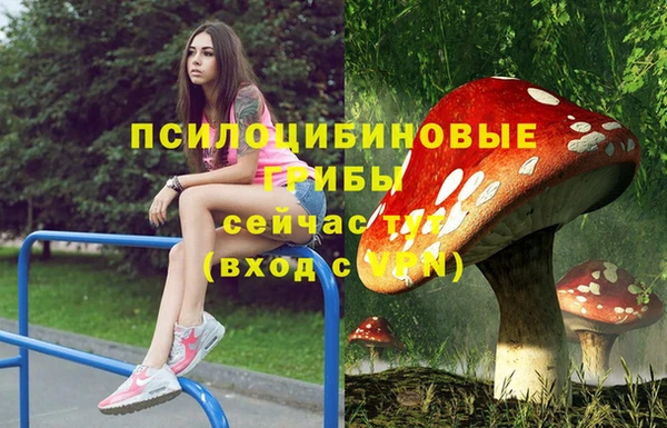 гидра Магас