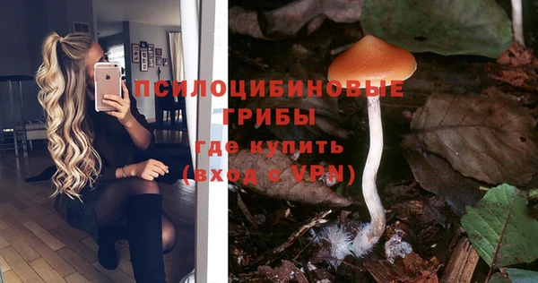 амф Магадан