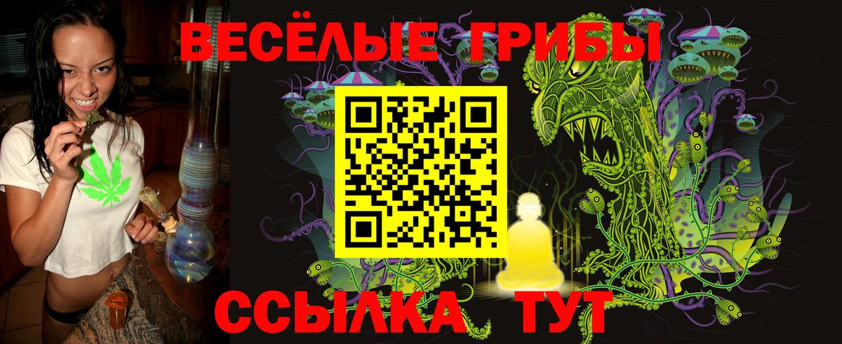 Галлюциногенные грибы прущие грибы  Галлюциногенные грибы Psilocybine cubensis  Каспийск  Вход с VPN 
