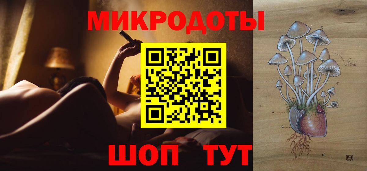 Галлюциногенные грибы Psilocybine cubensis Каспийск